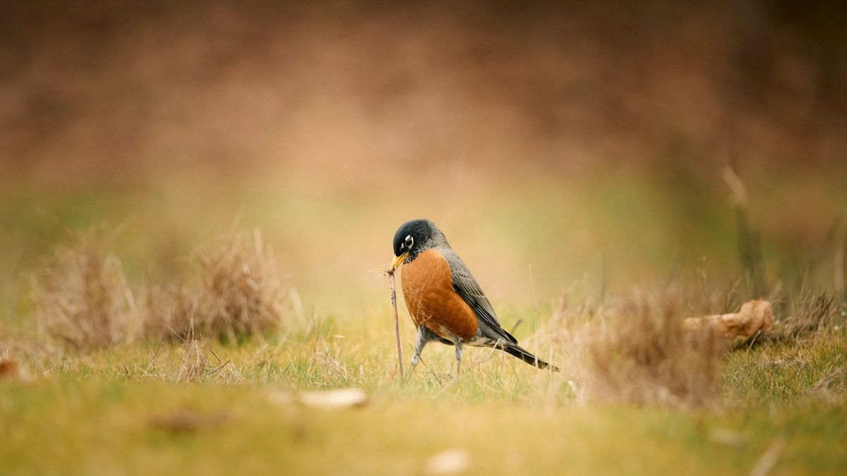 Early offer to buy your business: bully or bargain?