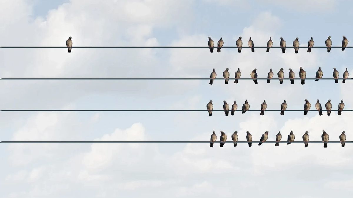 The five-year fallacy