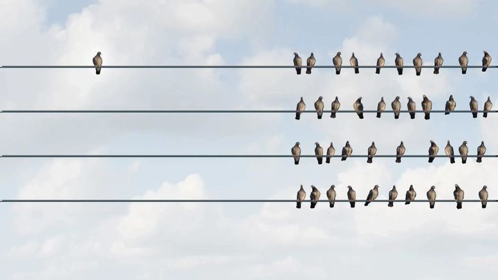 The five-year fallacy