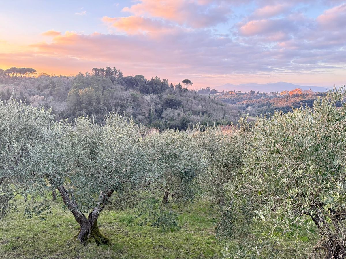Mi piaci come la torta di ceci