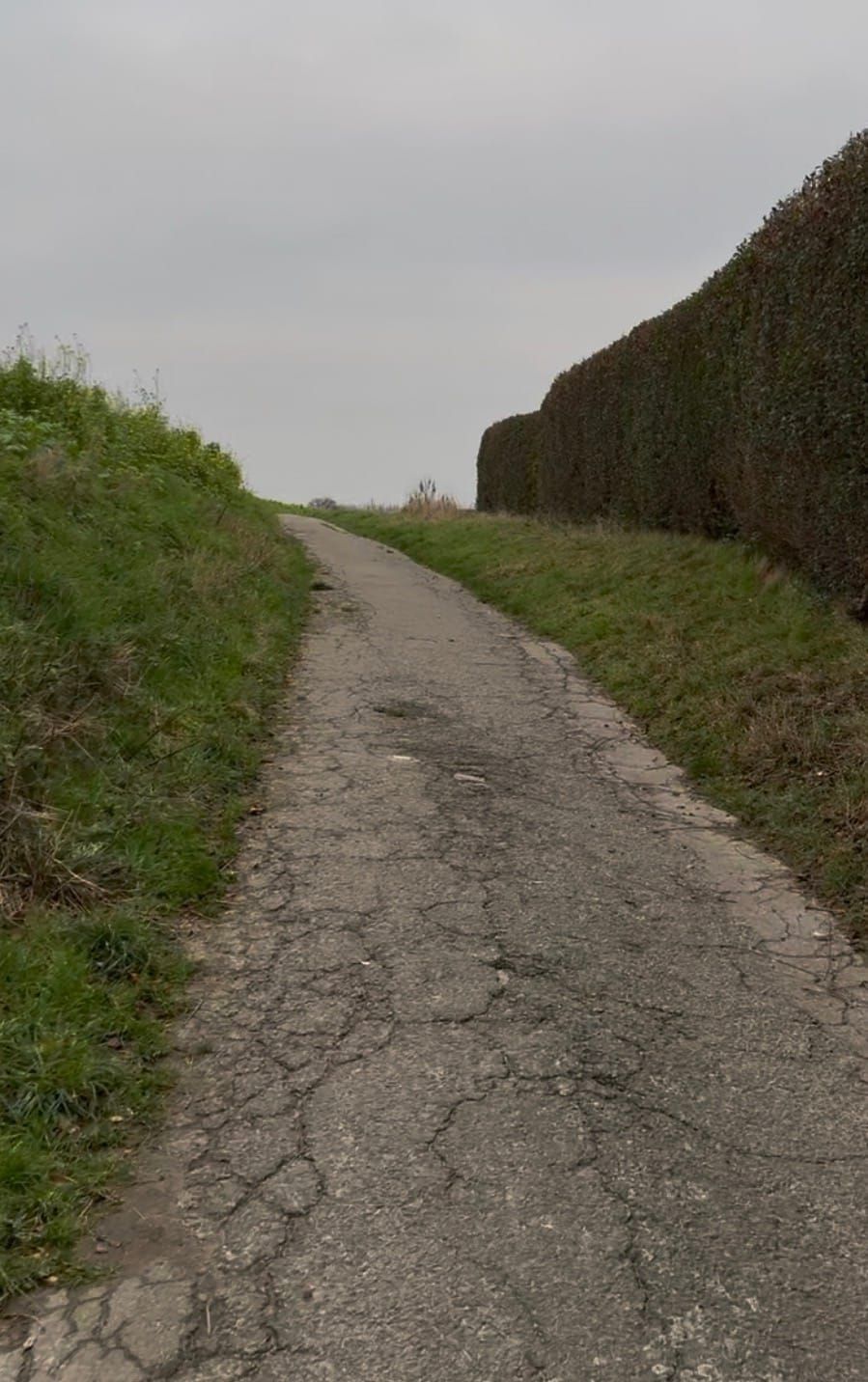 The Last Walk - December 2025