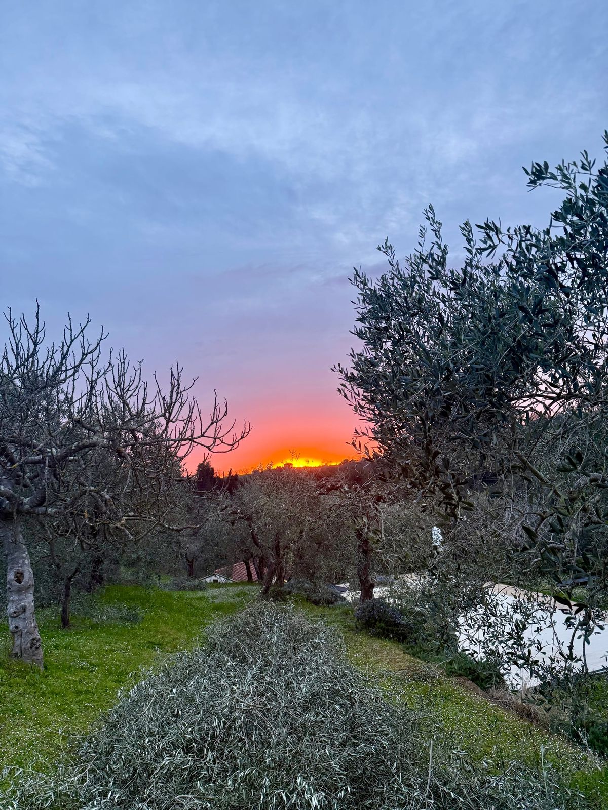 Everything burns eventually.