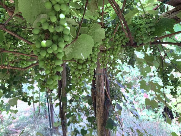 July - Tentative steps towards life change