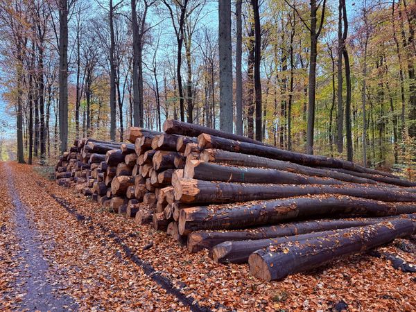 November 2025.  Breakthrough.  Heading for freedom