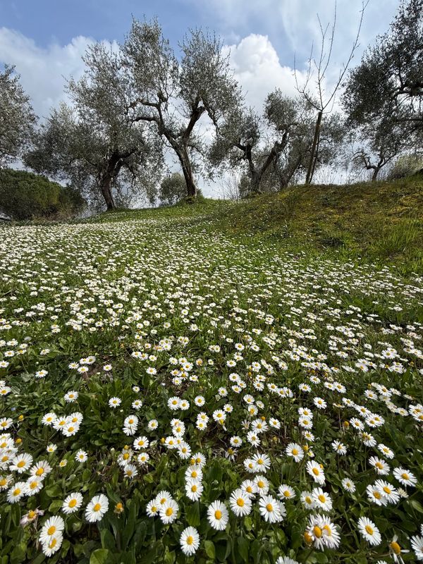 You catch the mayor at lunch