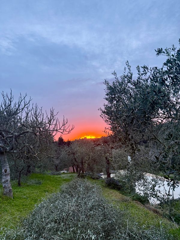 Everything burns eventually.