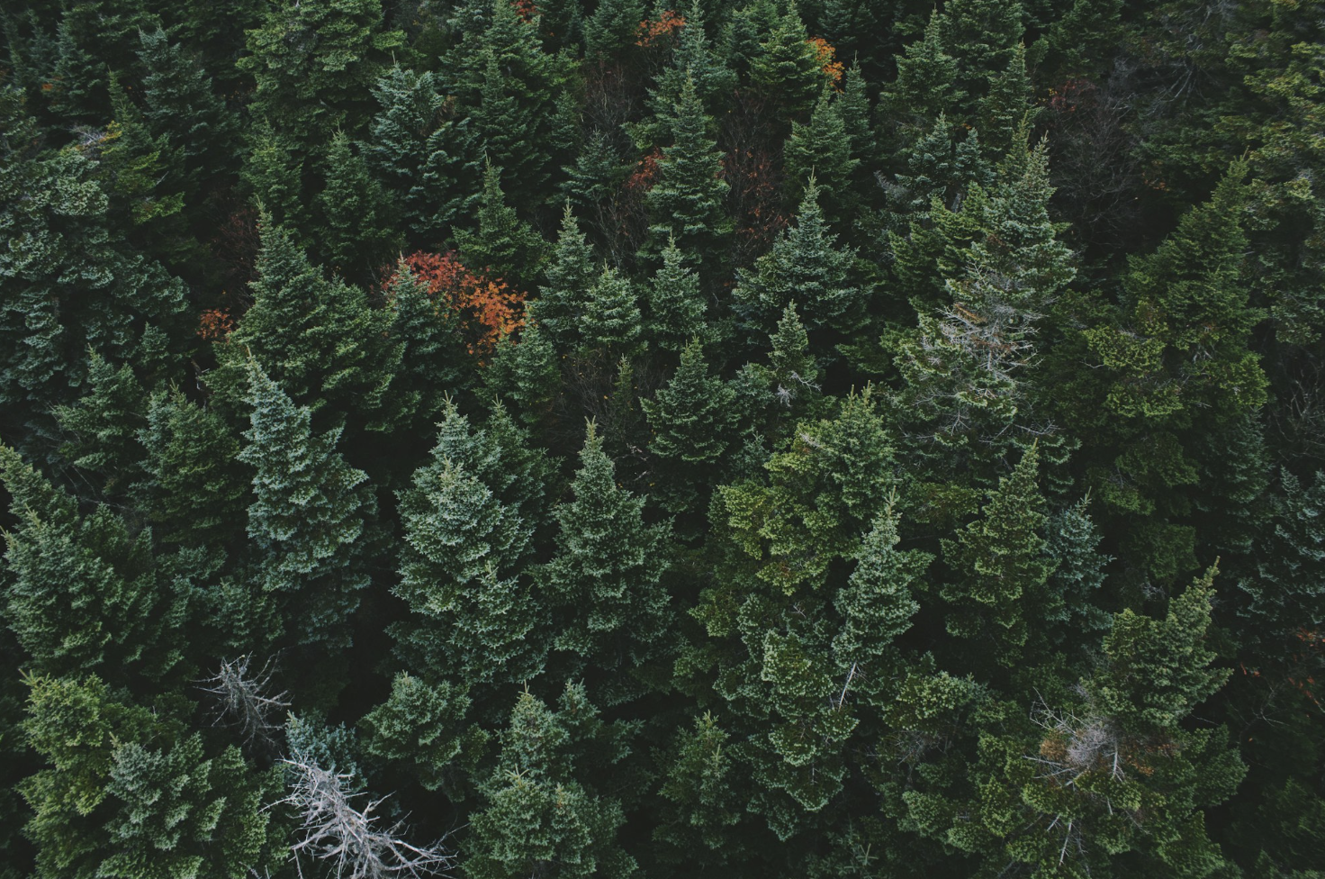 Evergreen Funds