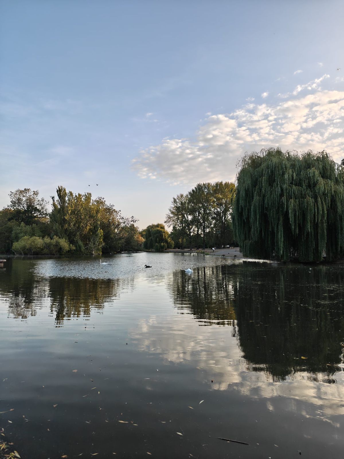 10 mal London pro Jahr