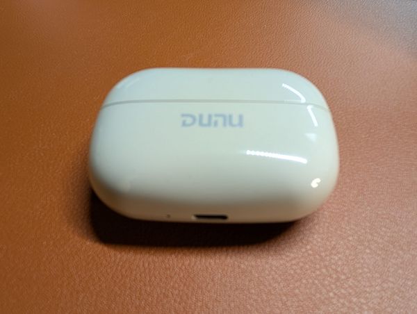 DUNU DTW 300