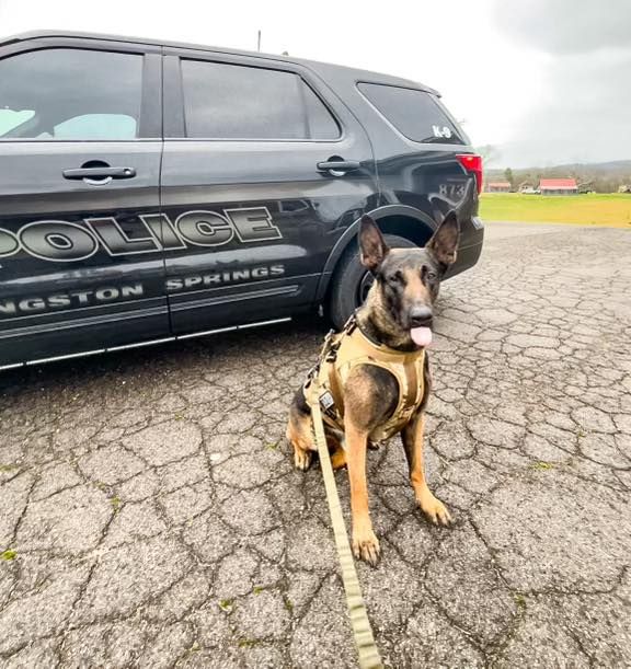 KSPD apprehends 3 Texas gang members after attempted robbery