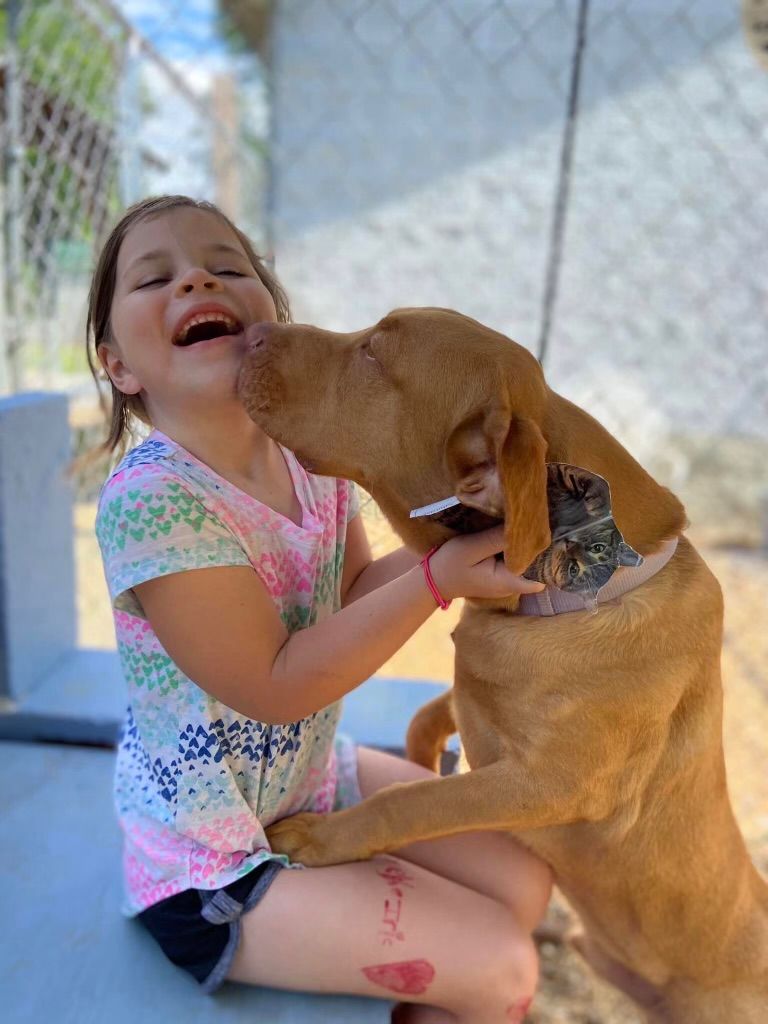 June is adopt, don't shop month