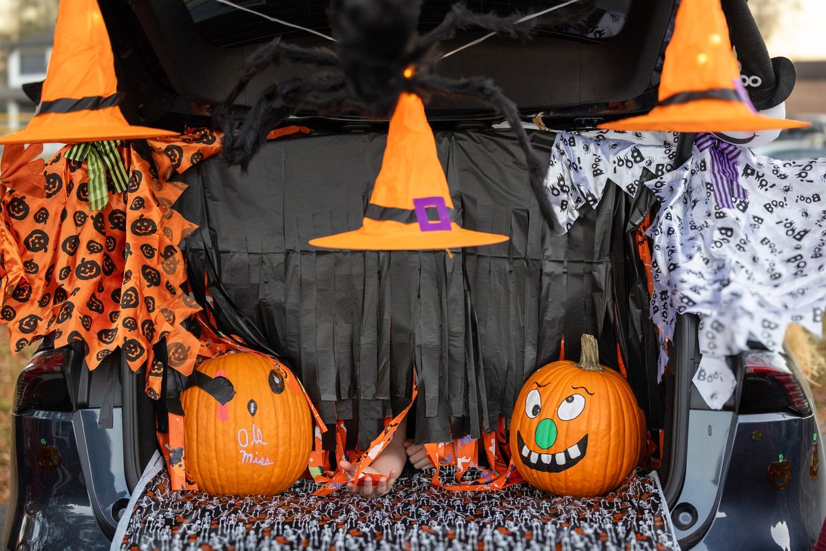 Community comes together for annual trunk-or-treat at Pegram Park