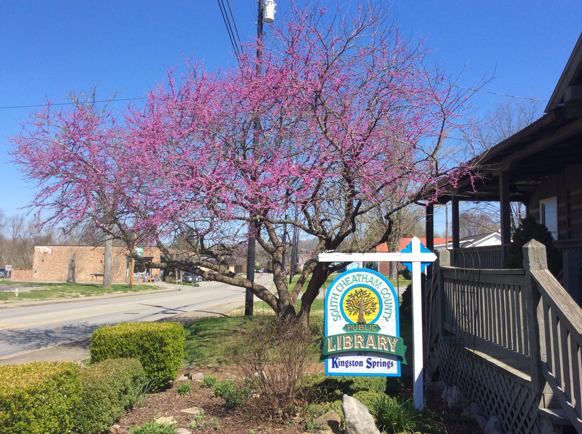 Kingston Springs seeks new library director, plans to leave log cabin