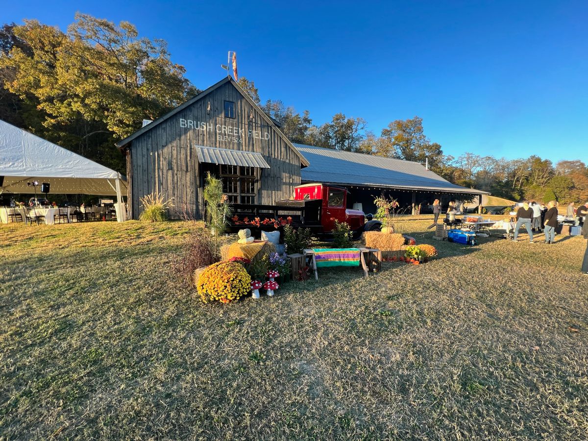 Supper and Song Under the Stars 2023: A night to benefit The Ark