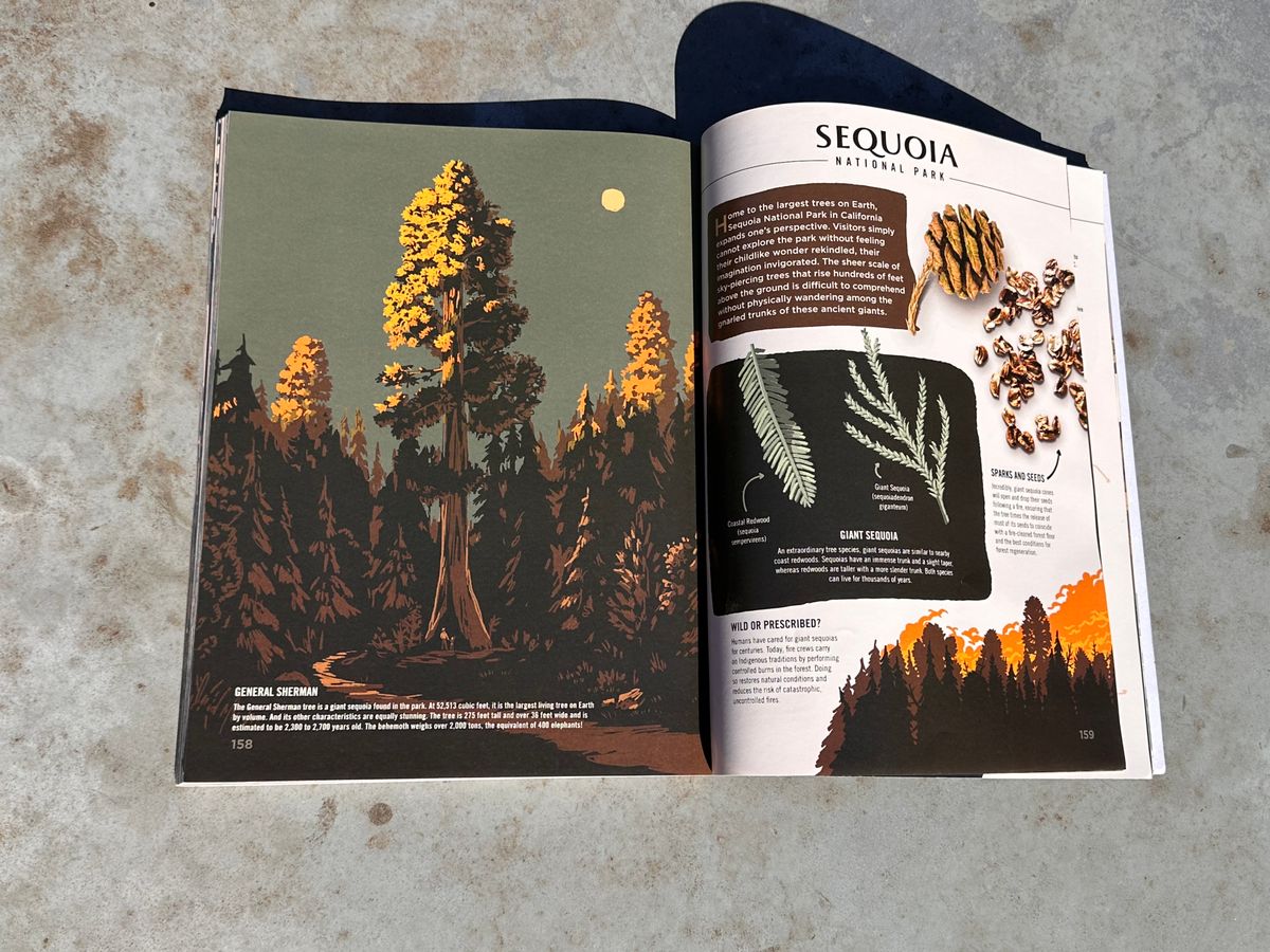 Local author publishes second book on national parks