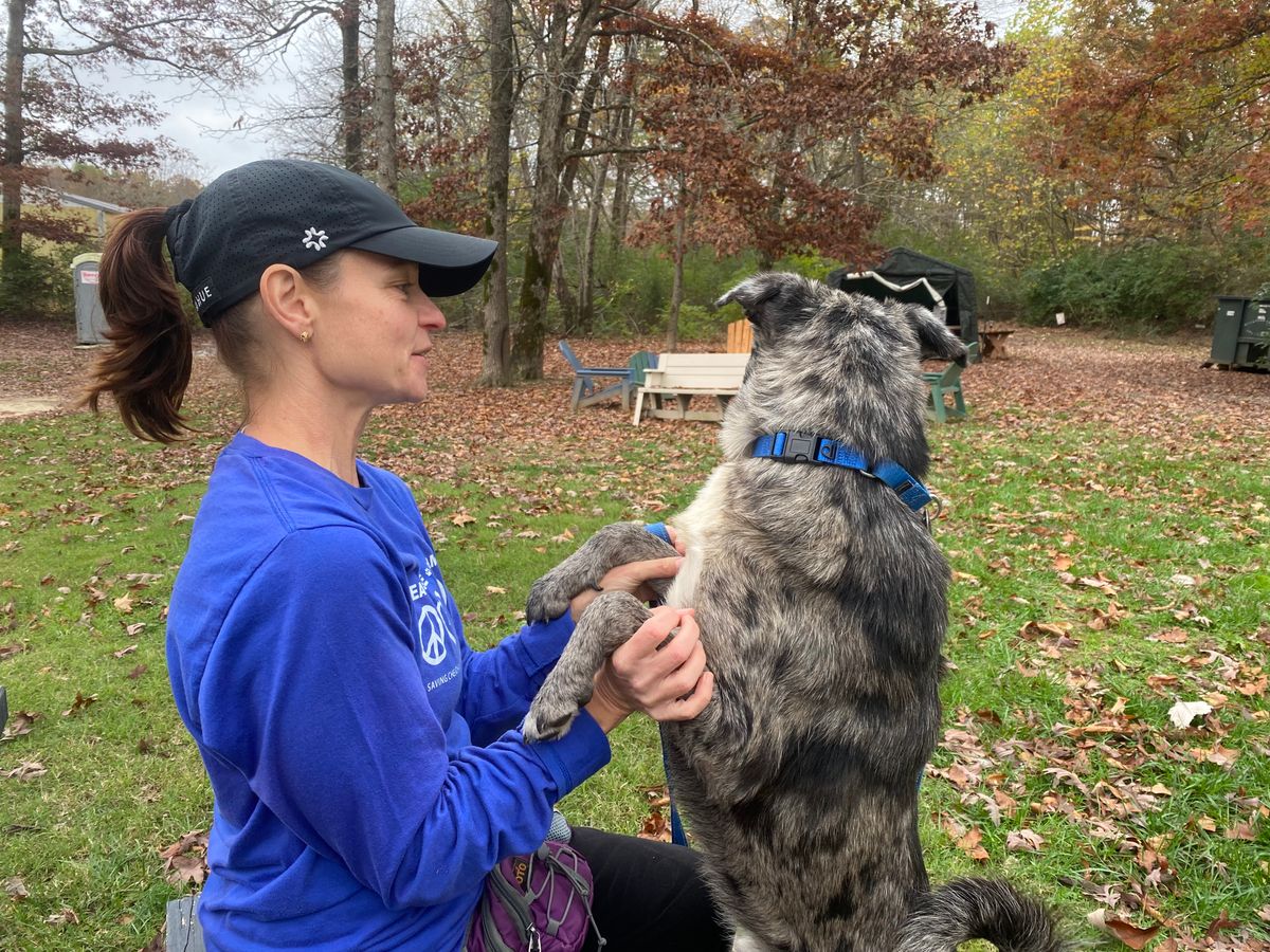 Giving back this season: Volunteers help animal shelter dogs find new beginnings