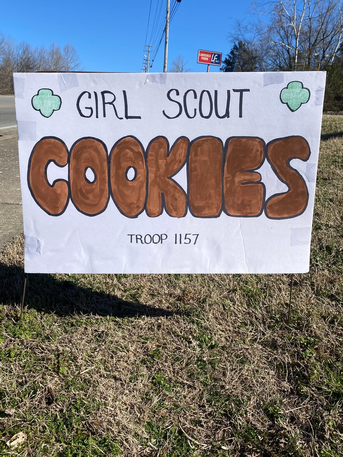 Local Girl Scout troop raises money for space science badge