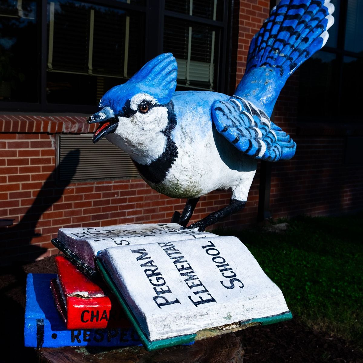 Meet your candidates: Rebecca Shrem for School Board District 5