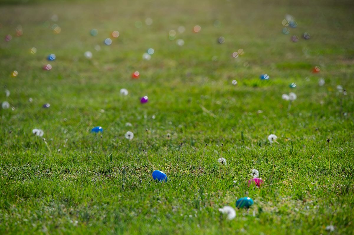 Kingston Springs hosts annual Easter egg hunt at City Park