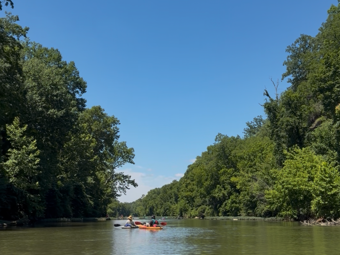 Kingston Springs settles Riverkeeper lawsuit as sewer sale decision remains on hold