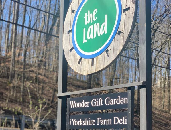 The Land's Treehouse transforms into new community event space