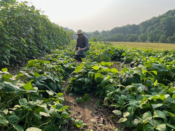 Life-long resident Jasper Pinkerton celebrates 90th birthday on family farm