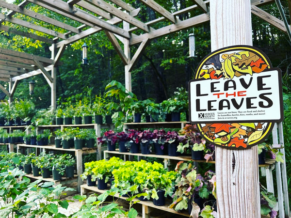 Wonder Gift and Garden to replace Thrive Sept. 15