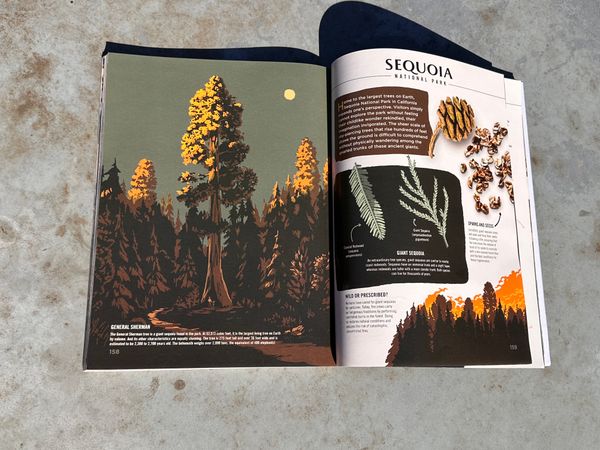 Local author publishes second book on national parks