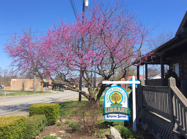 Report to County Commission cites alleged improprieties in library director hiring