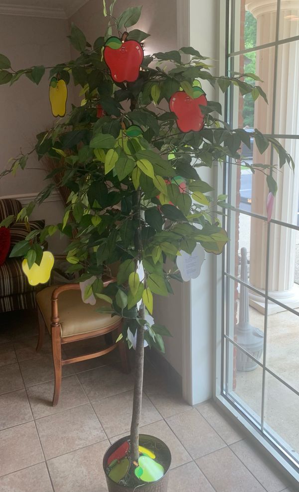 United Community Bank plants 'apple tree' for teachers