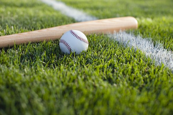 Nashville approves appeal for batting facility in Pegram