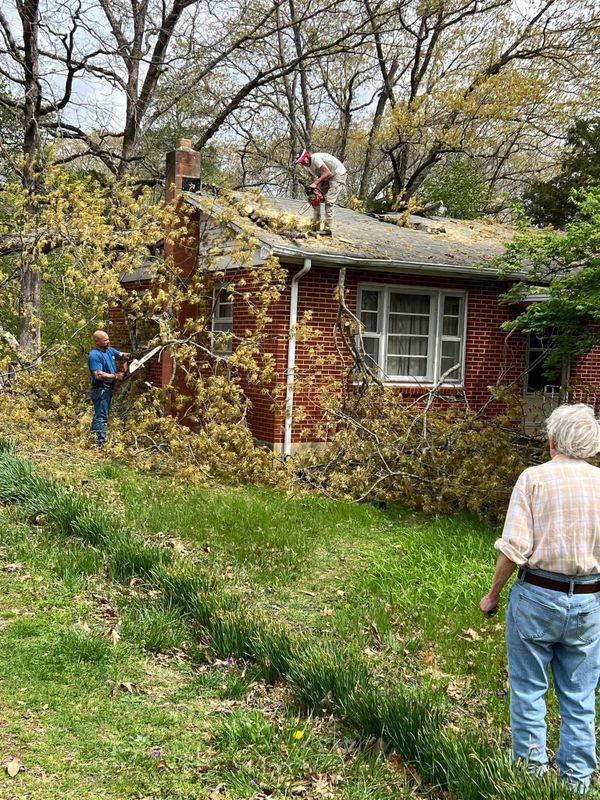 The Ark rallies community to rebuild after tornado