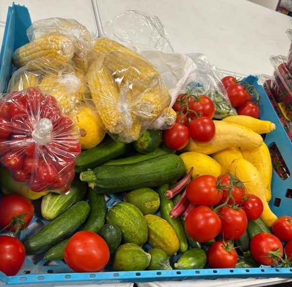 Ark's 'Grow a Row' initiative provides 1,500 boxes of fresh food