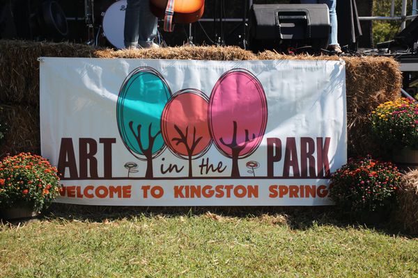Photos: Kingston Springs 2025 Art in the Park