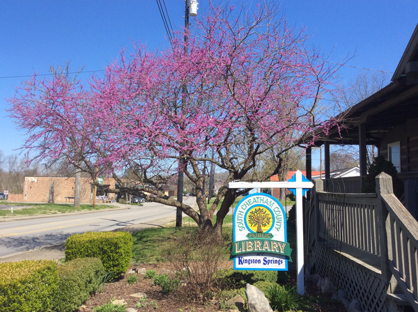 Kingston Springs library director highlights need for larger space