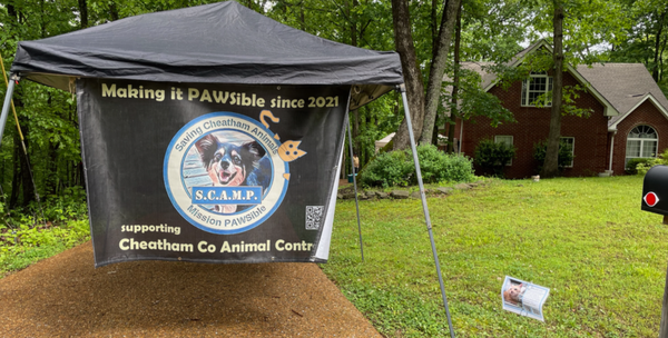 Kingston Springs yard sale raises thousands for animal shelter