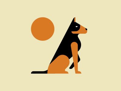 Your Dark Materials