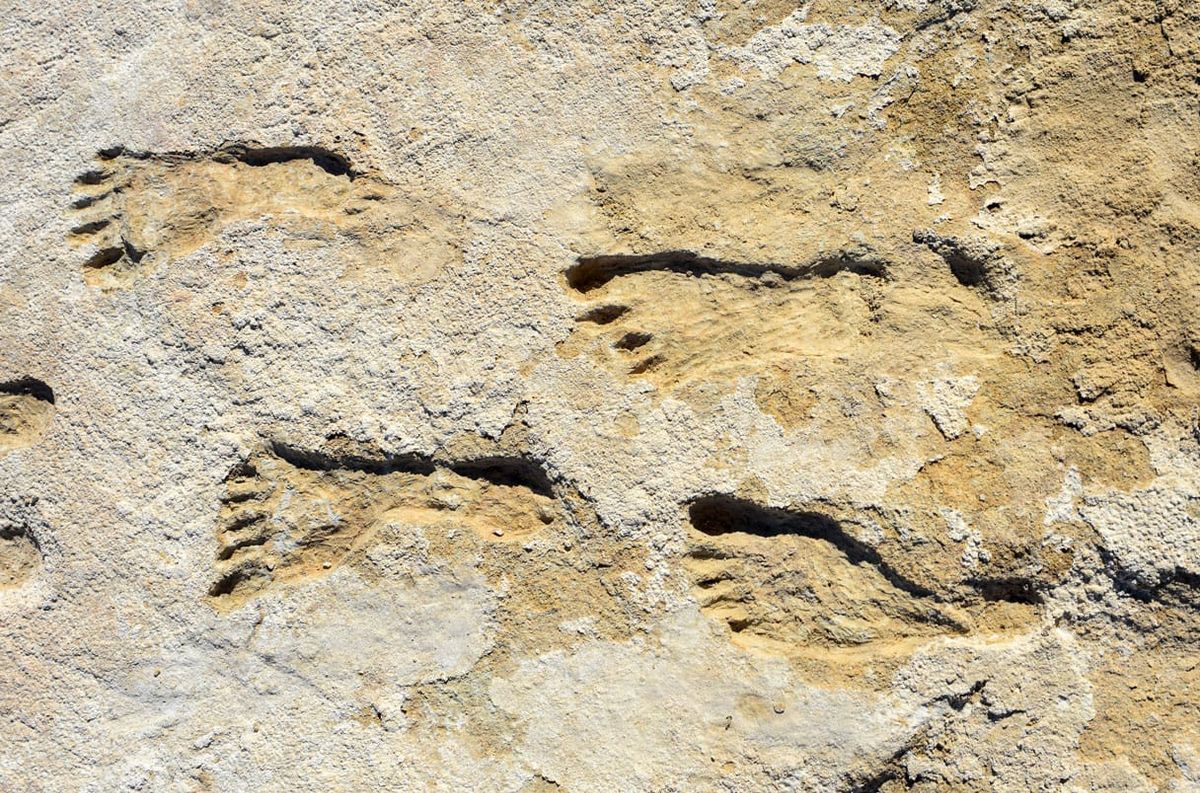 Unicorn and Stone