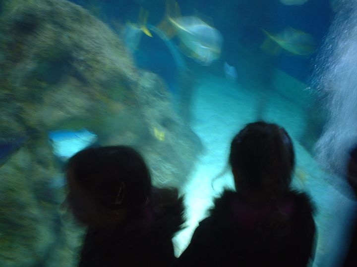 blurry photo of people viewing a large aquarium