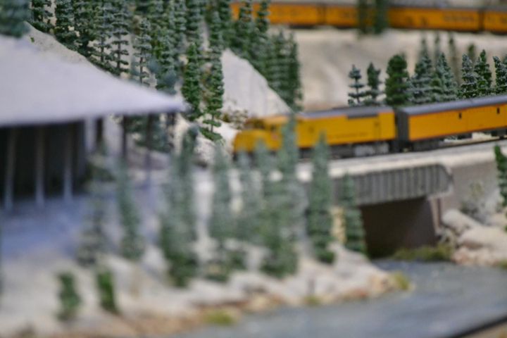 Out of focus photo of a model train in a forest landscape with bridge