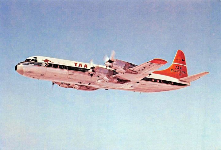 postcard photo of a trans Australia airlines plane in flight. it has kangaroo livery