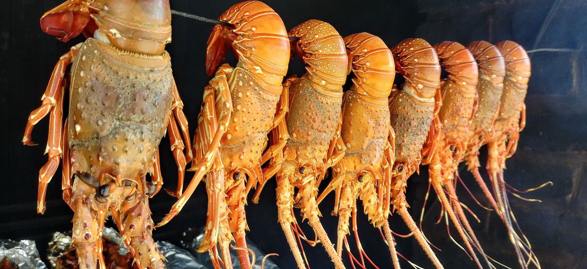 smoking lobster
