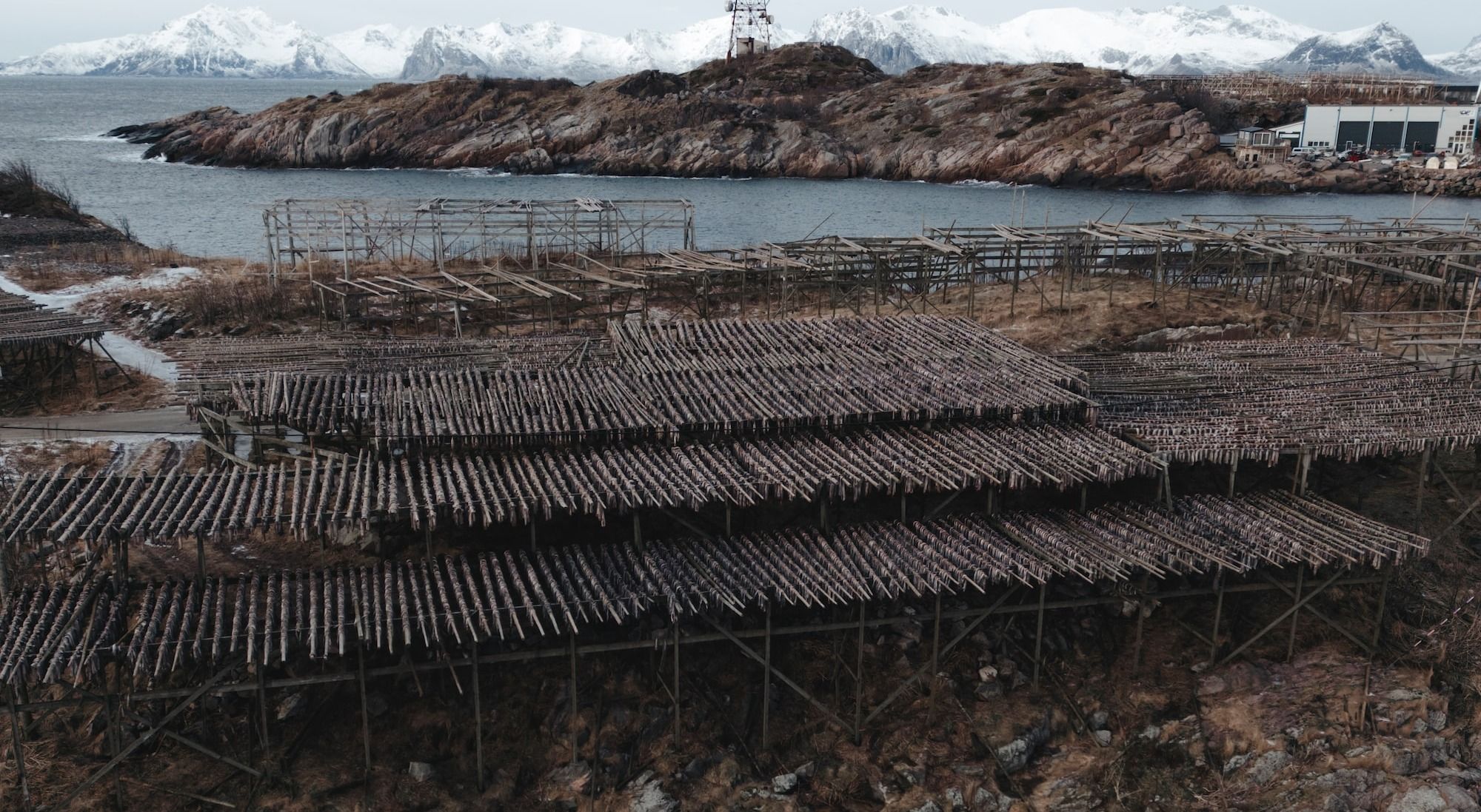 a group of wooden rafts sitting on top of a rocky shore