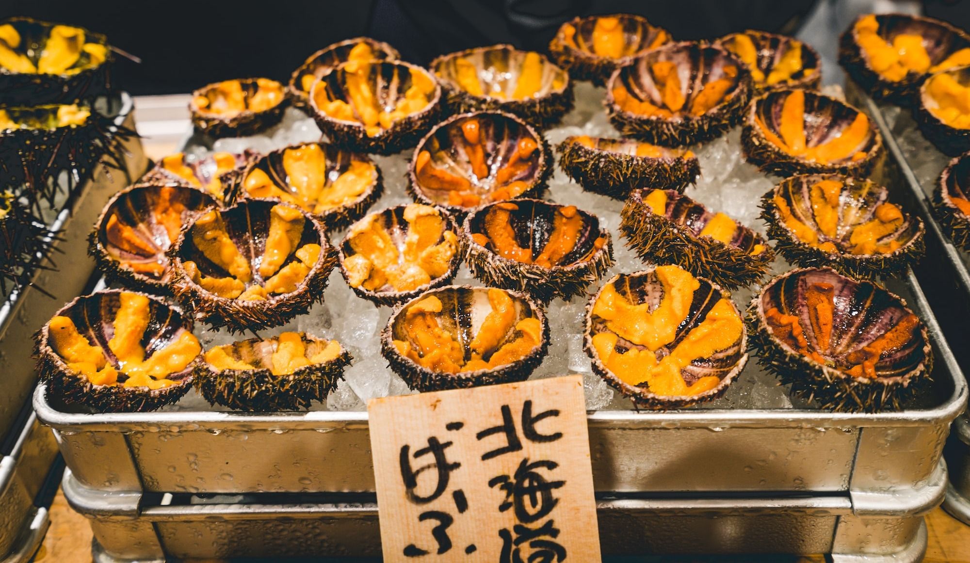 sea urchins on ice