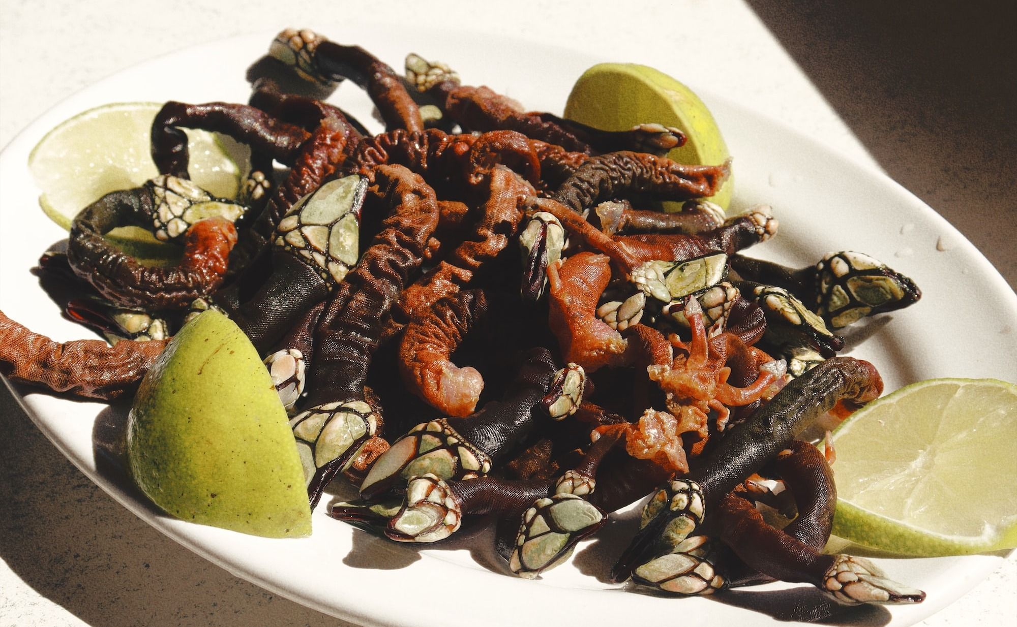 a white plate topped with fruit and nuts