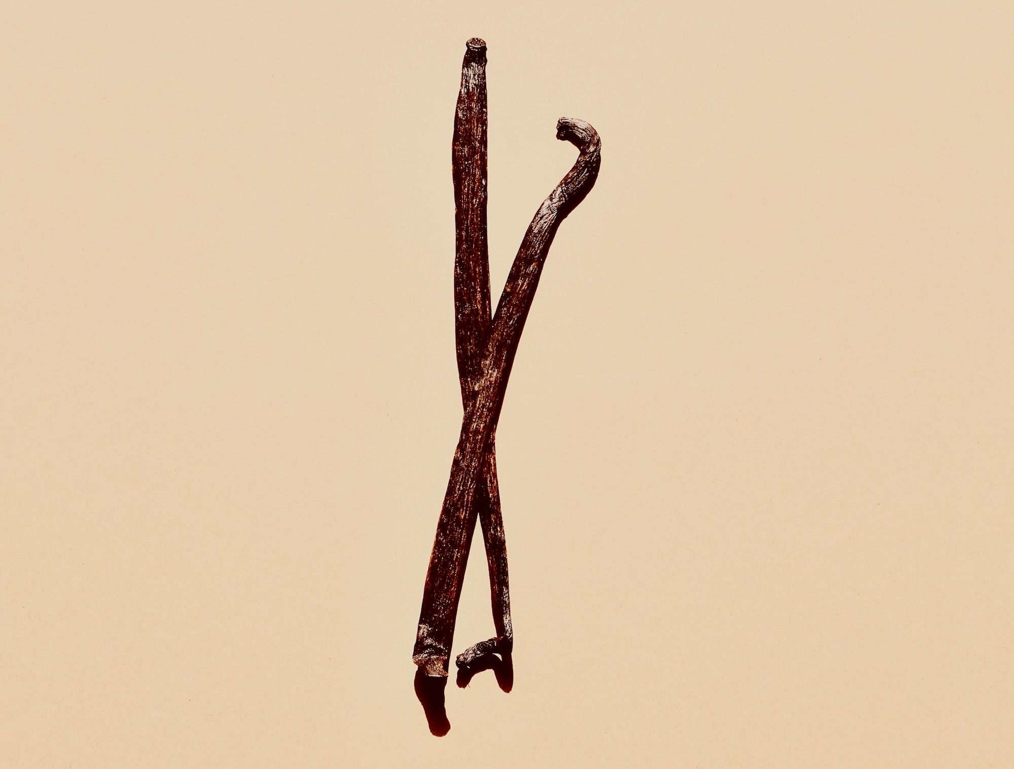 Vanilla Bean