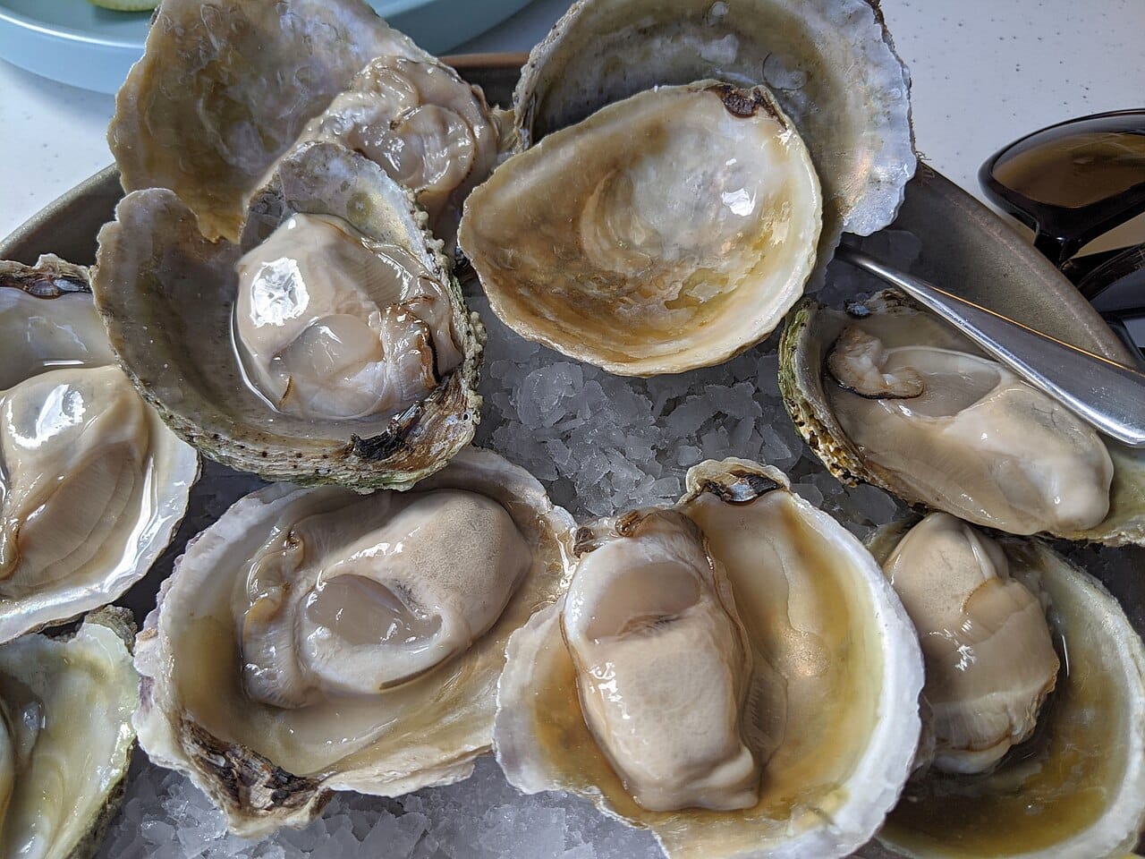 New Zealand Bluff oysters