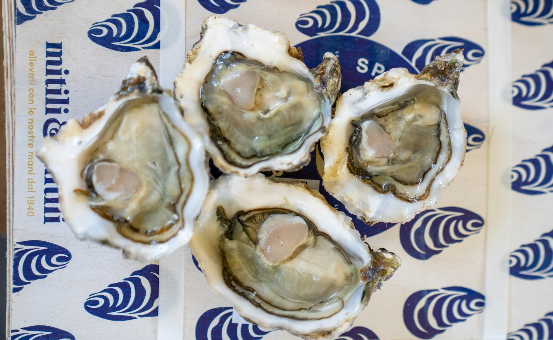 A bunch of oysters sitting on top of a table