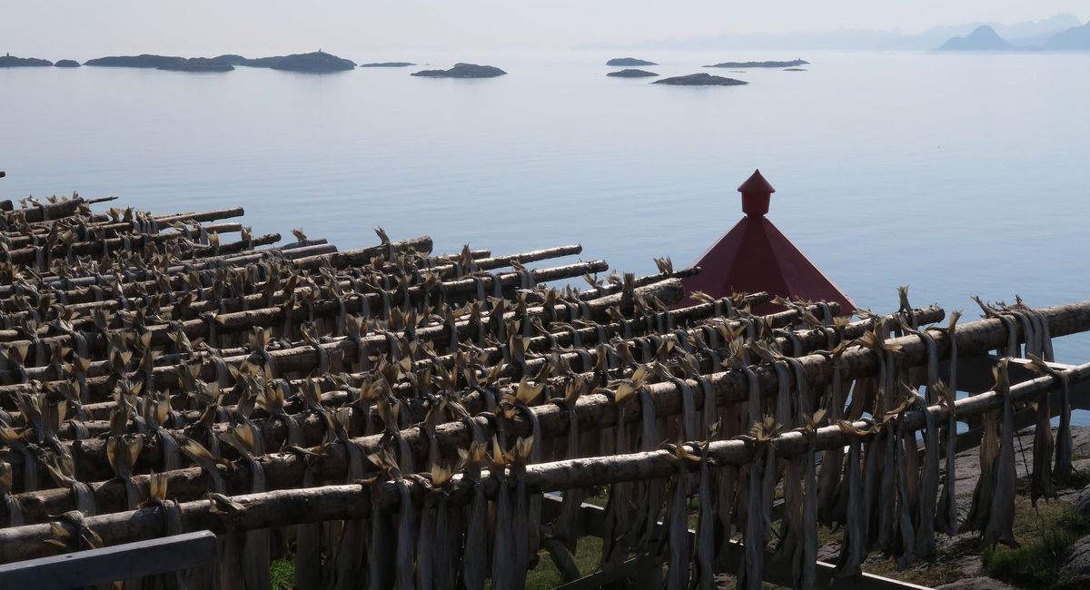 What is Stockfish and Why Is It So Expensive?