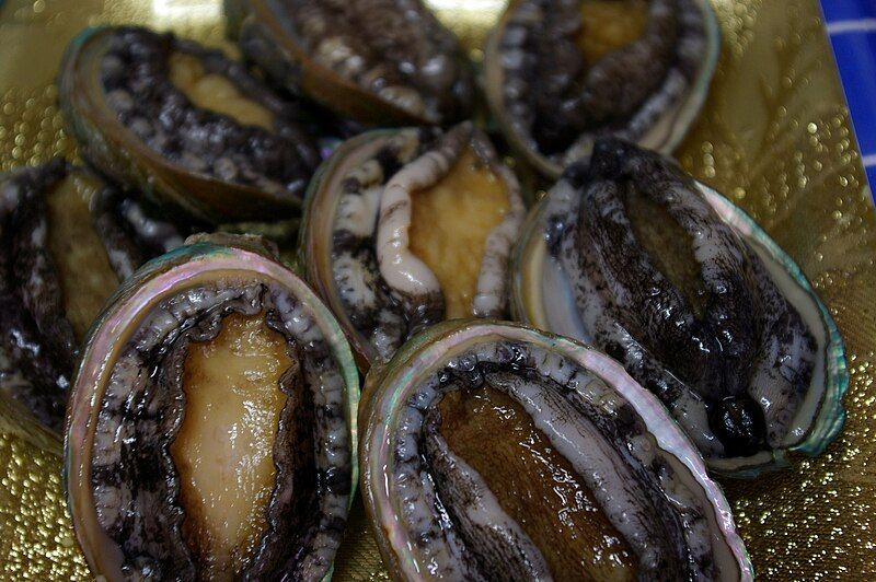 Why Is Dried Abalone So Expensive?